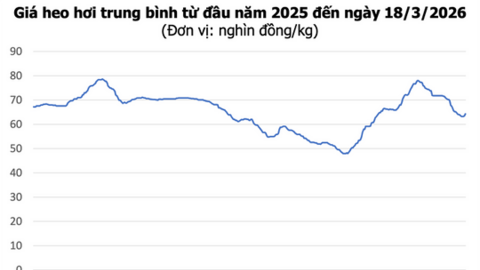 Giá bạc hôm nay 18/6/2026: Nối đà suy giảm