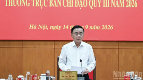 Thường trực Ban Bí thư Trần Cẩm Tú chủ trì họp Thường trực Ban Chỉ đạo 35 Trung ương