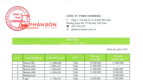 Báo giá website năm 2026