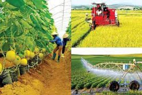 Hiệu quả, bền vững cho nông nghiệp