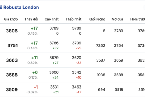 Giá cà phê hôm nay 6/3/2026: Đảo chiều tăng nhẹ