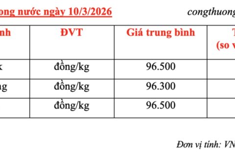 Giá cà phê hôm nay 10/3/2026: Duy trì ổn định