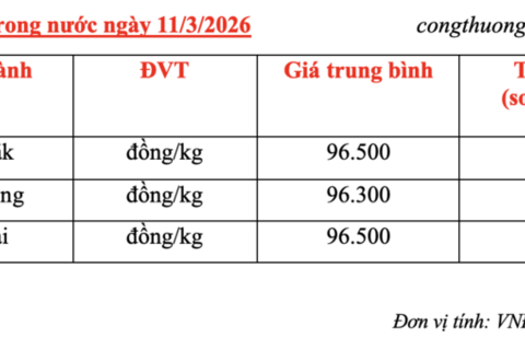 Giá cà phê hôm nay 11/3/2026: Giữ đà bình ổn