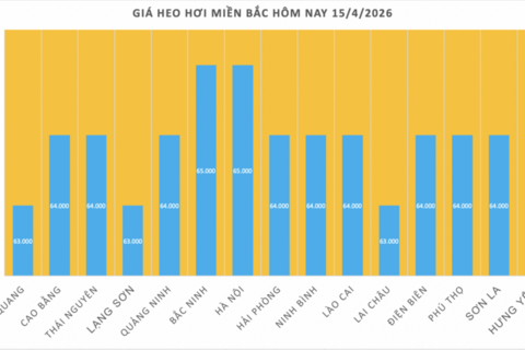 Giá heo hơi hôm nay 15/4/2026: Tăng rải rác trên cả 3 miền