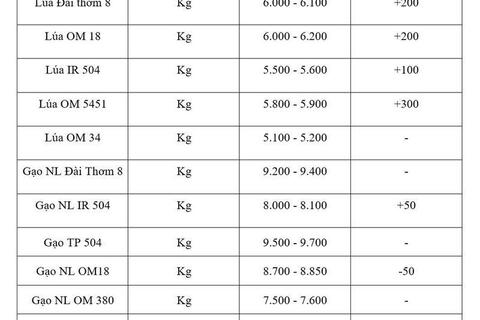 Giá lúa gạo hôm nay ngày 16/4: Lúa tươi đồng loạt tăng