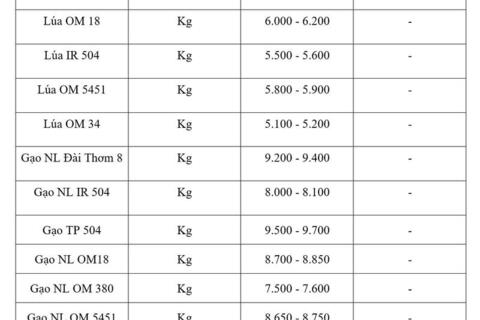 Giá lúa gạo hôm nay ngày 17/4: Gạo thơm xuất khẩu tăng 15 USD/tấn