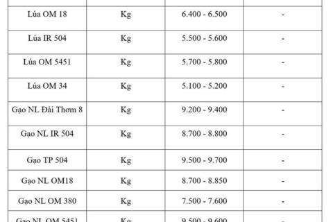 Giá lúa gạo hôm nay ngày 16/6/2026: Gạo xuất khẩu đảo chiều tăng