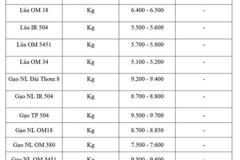 Giá lúa gạo hôm nay ngày 18/6/2026: Gạo xuất khẩu tăng nhẹ