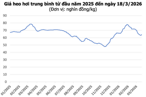 Giá bạc hôm nay 18/6/2026: Nối đà suy giảm