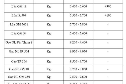 Giá lúa gạo hôm nay ngày 7/7/2026: Lúa tươi đồng loạt tăng