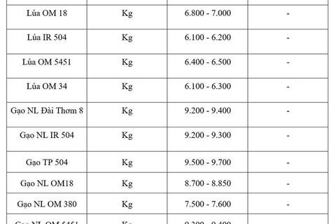 Giá lúa gạo hôm nay ngày 21/7/2026: Gạo xuất khẩu tăng mạnh