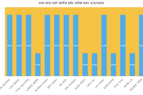 Giá heo hơi hôm nay 3/9/2026: Đi ngang sau kỳ nghỉ lễ