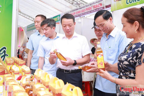 Hà Tĩnh nâng chất lượng sản phẩm OCOP, hướng tới giá trị bền vững