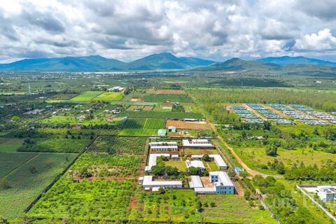 Gia Lai phát triển vùng nguyên liệu tỷ đô cho nông sản chủ lực