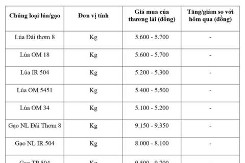 Giá lúa gạo hôm nay ngày 26/3: Gạo xuất khẩu đảo chiều tăng nhẹ