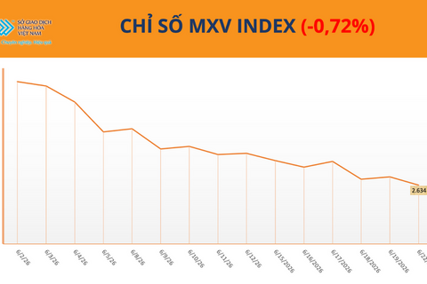 Giá ca cao tăng vọt hơn 9% trước rủi ro nguồn cung
