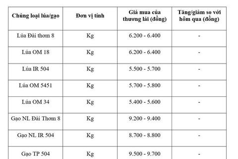 Giá lúa gạo hôm nay ngày 24/6: Gạo thơm Jasmine giảm 1.000 đồng/kg