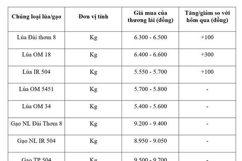 Giá lúa gạo hôm nay ngày 7/7/2026: Lúa tươi đồng loạt tăng