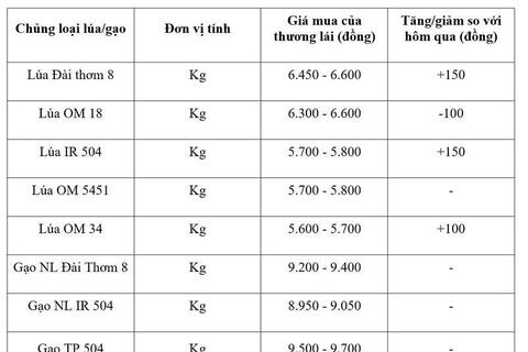 Giá lúa gạo hôm nay ngày 9/7/2026: Lúa tươi biến động trái chiều