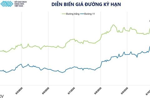 Giá đường tăng phiên thứ tư liên tiếp, lập đỉnh 19 tháng