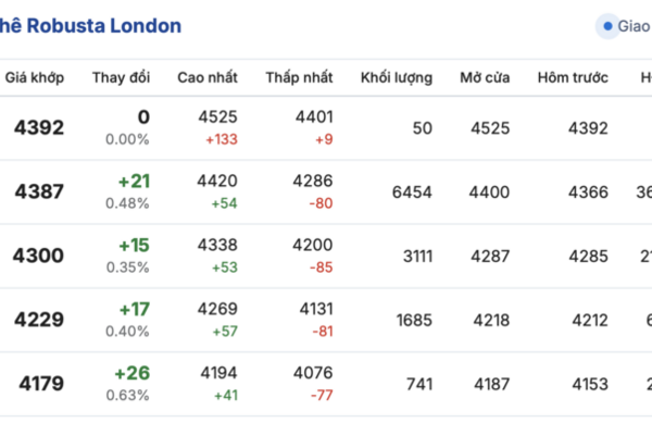 Giá cà phê hôm nay 14/11/2025: Thị trường lao dốc