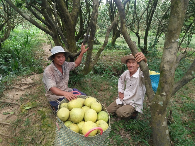 07-23-12_thu_hoch_buoi_nm_roi_ti_htx_buoi_nm_roi_my_ho 07-23-12_thu_hoch_buoi_nm_roi_ti_htx_buoi_nm_roi_my_ho