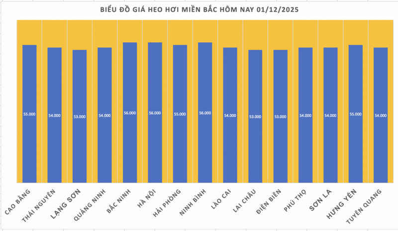 Giá heo hơi hôm nay 01/12/2025: Tiếp đà tăng, đạt mốc mới - 1