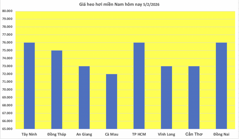 Giá heo hơi hôm nay 5/2/2026: Giảm diện rộng - 3