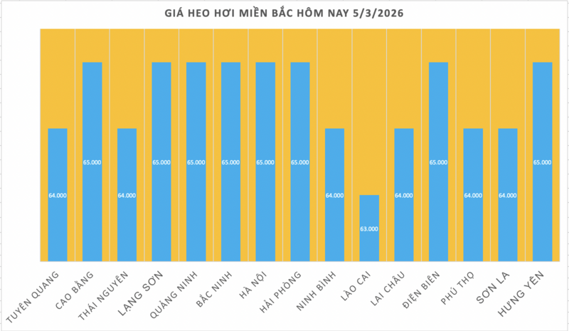 Giá heo hơi hôm nay 5/3/2026: Tiếp tục giảm nhiều nơi - 1