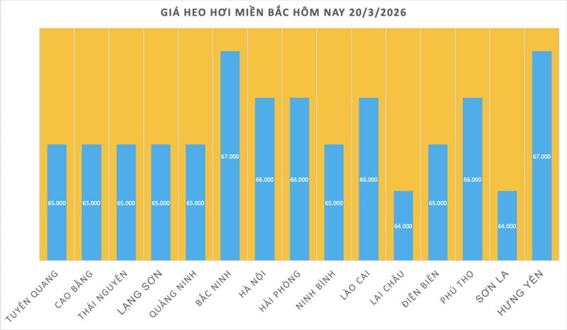 Giá heo hơi hôm nay 20/3/2026: Duy trì đà tăng mạnh - 1