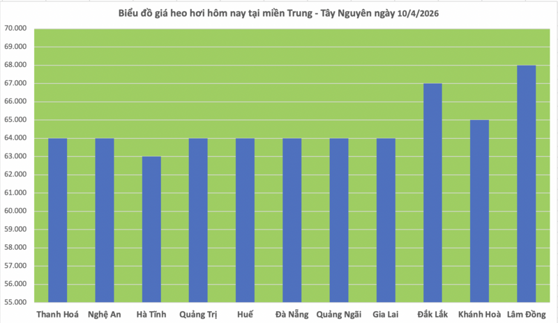 Giá heo hơi hôm nay 10/4/2026: Giữ đà bình ổn - 2