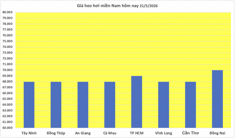 Giá heo hơi hôm nay 21/5/2026: Tăng đồng loạt trên cả nước - 3