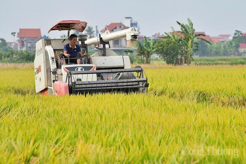 Sản xuất xanh đang dần trở thành một yếu tố tạo nên giá trị thương mại của sản phẩm. Ảnh: Nguyễn Hạnh