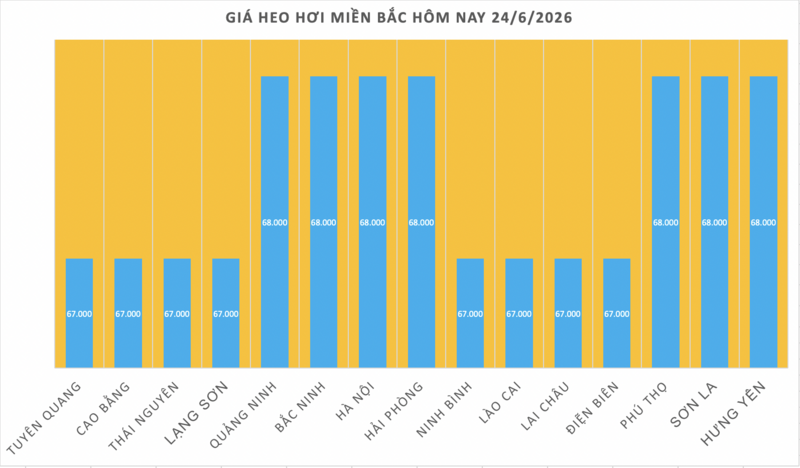 Giá heo hơi hôm nay 24/6/2026: Giảm rải rác tại miền Trung, miền Nam - 1