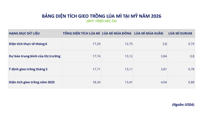 Bảng diện tích gieo trồng lúa mì tại Mỹ năm 2026. Nguồn: MXV