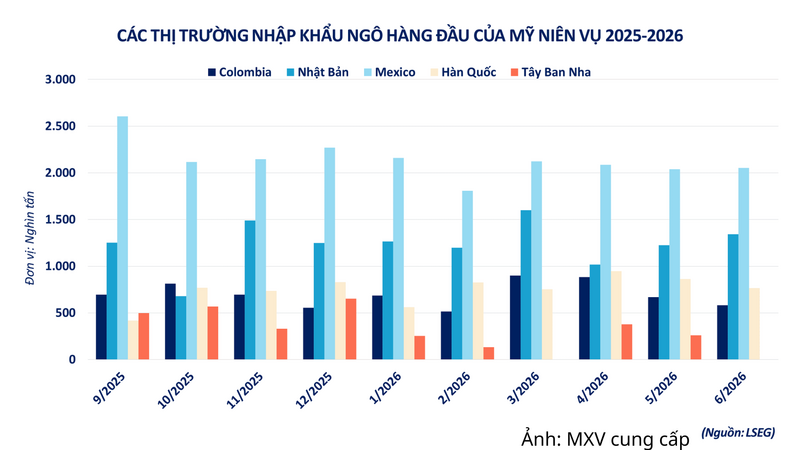 Các thị trường nhập khẩu ngô hàng đầu của Mỹ niên vụ 2025-2026.