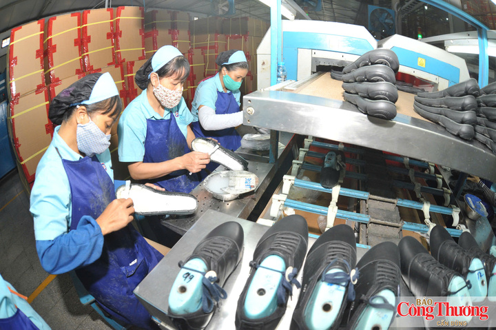 Khoảng 90% doanh nghiệp đã xuất khẩu sang các nước CPTPP tận dụng tốt C/O ưu đãi