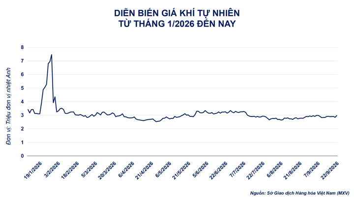 Diễn biến giá khí tự nhiên
