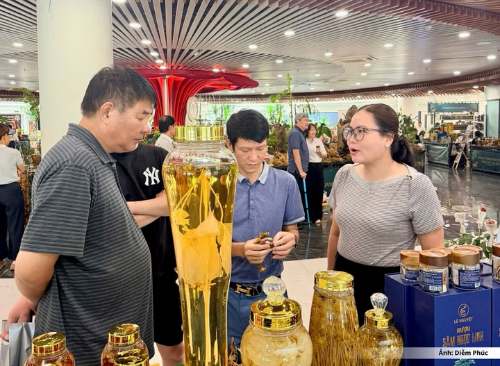 Doanh nghiệp giới thiệu sản phẩm chế biến từ sâm Ngọc Linh đến người tiêu dùng.