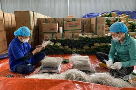 Thúc đẩy phát triển công nghiệp chế biến nông sản