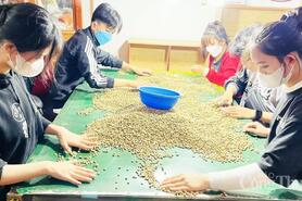 Giá cà phê hôm nay 26/5/2025, trong nước cao nhất 122.500 đồng/kg