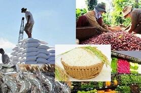 Xuất khẩu nông, lâm, thủy sản 5 tháng đầu năm tăng 15,1%, châu Á là thị trường lớn nhất