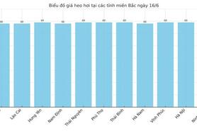Giá heo hơi hôm nay 16/6/2025: Tăng mạnh tại miền Nam