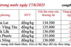 Giá tiêu hôm nay 17/6/2025: trong nước tiếp đà giảm