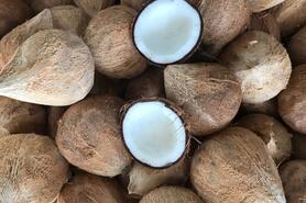 Nhập khẩu dừa chế biến tăng 11,3 lần