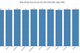 Giá heo hơi hôm nay 18/6/2025: Miền Nam, miền Trung tiếp đà giảm nhẹ