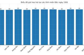 Giá heo hơi hôm nay 19/6/2025: Cao nhất 73.000 đồng/kg