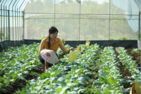 HTX hữu cơ đau đầu tìm đơn vị chứng nhận để ‘chọn mặt gửi vàng’