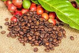 Ba năm hỗn loạn giá cà phê