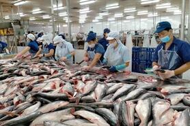 Xuất khẩu thủy sản tăng mạnh nhất ở thị trường Brazil